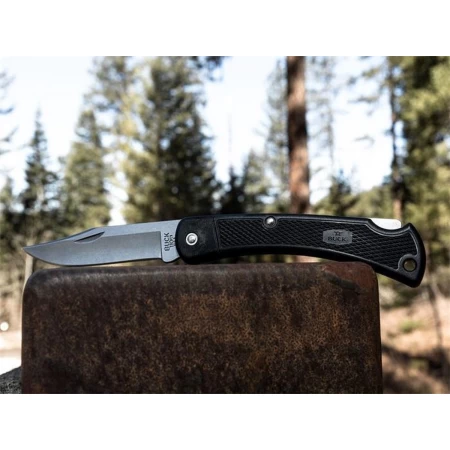 BUCK 110 FOLDING HUNTER LT - Afbeelding 3