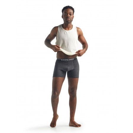 ICEBREAKER  Anatomic boxer - Jet Heather - Afbeelding 5