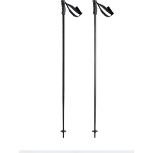 HEAD Ski Head skistok zwart