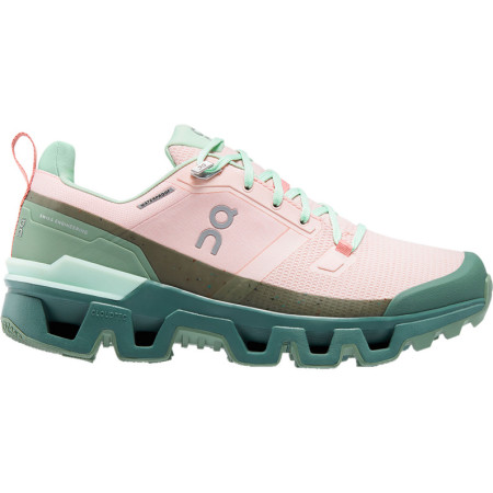 ON-Running Cloudwander waterproof W Doe-Ivy