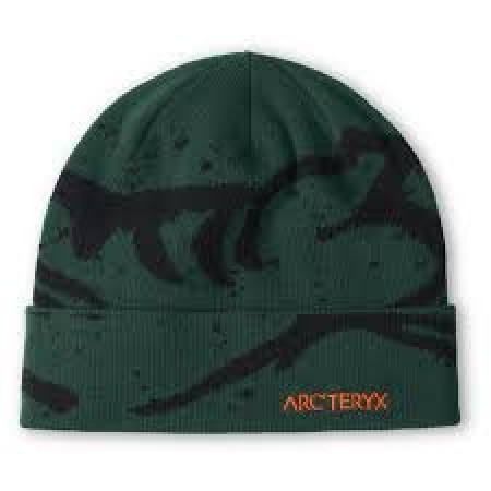 ARC'TERYX Grotto Toque Eden/Black