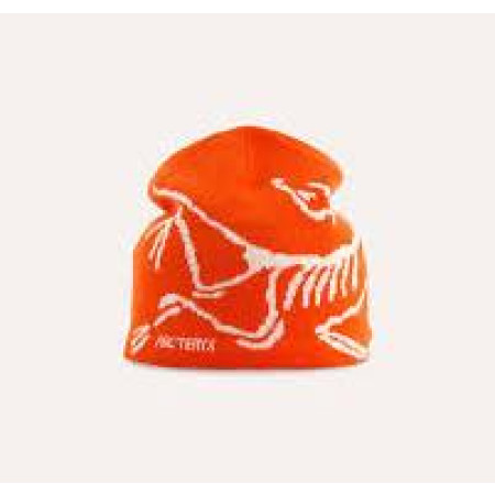 ARC'TERYX Bird Head Toque Dyn/Arc Sil