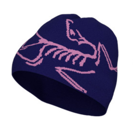 ARC'TERYX Bird Head Toque Alpg/So