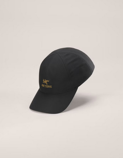 ARC'TERYX Bird Word Cap 24K Black