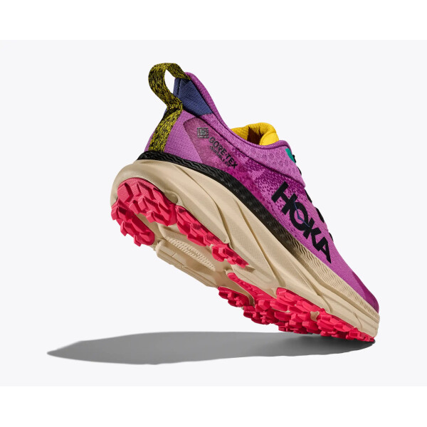 HOKA W Challenger Atr7 GTX sbloom - Afbeelding 5