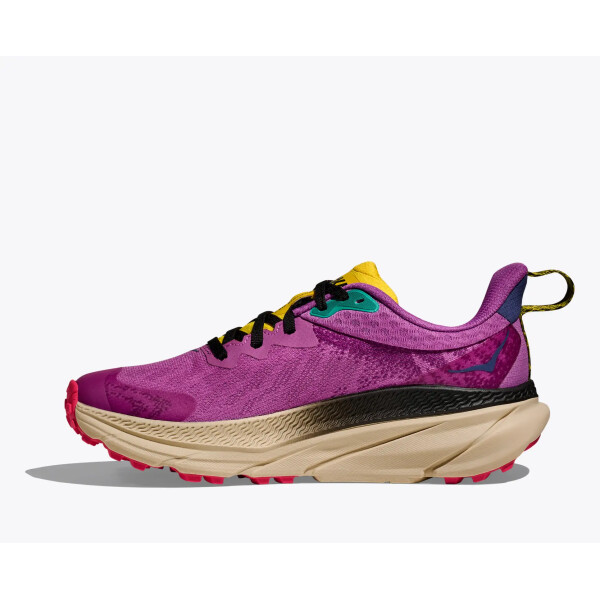 HOKA W Challenger Atr7 GTX sbloom - Afbeelding 4