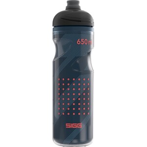 SIGG Pulsar Therm 0.65L night