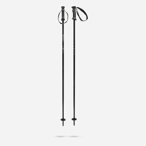 HEAD Ski Joy skistok zwart/grijs