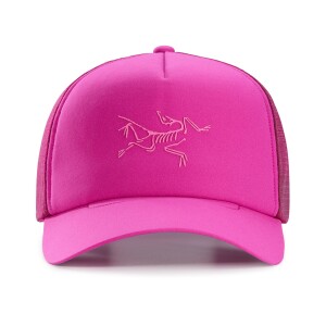 ARC'TERYX Bird Trucker Curved Synth