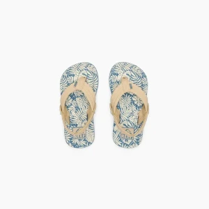 REEF Little/Kids Ahi blu-tan palm