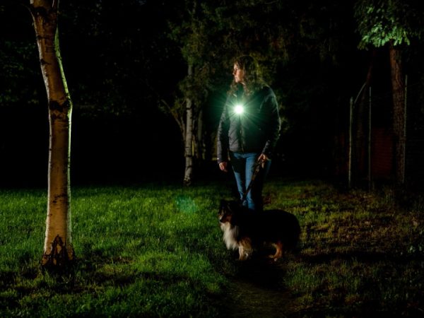 OLIGHT OClip Pro - Afbeelding 5