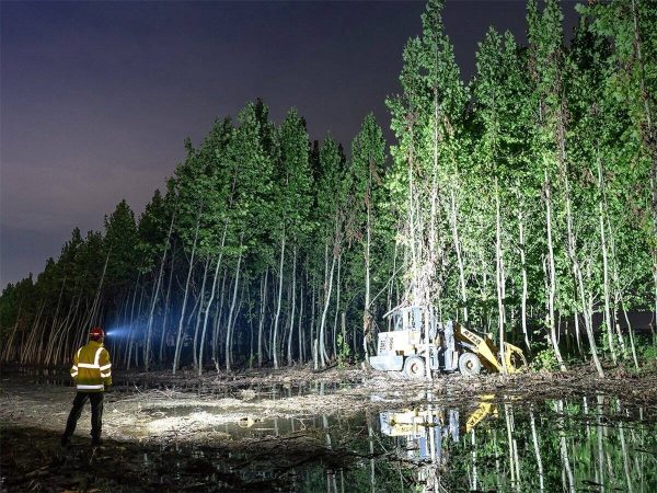 OLIGHT Perun 3 mini premium orange - Afbeelding 6