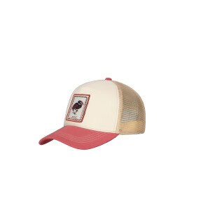 BARTS - Silkin Cap - brick