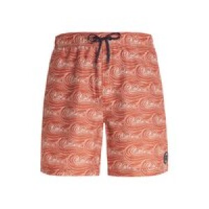 PROTEST - Zwemshort Prtterton Heren - Clay
